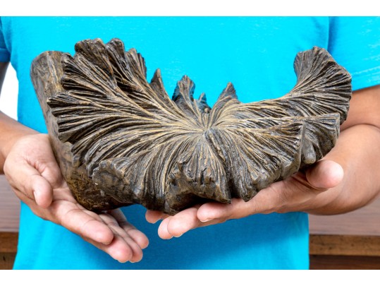 Decorative Naturalistic Volcano Flower Sculpture