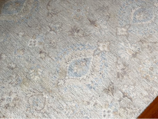 Hand Knotted Wool Carpet, 12'-1