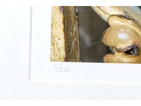 R. Rome Ltd. Ed. Print, 