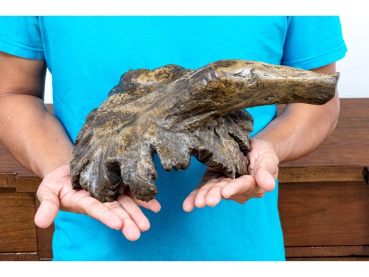 Decorative Naturalistic Volcano Flower Sculpture