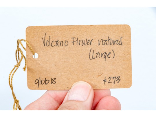 Decorative Naturalistic Volcano Flower Sculpture