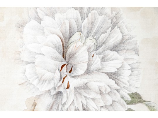 Pair Of Beautiful Botanical Peony Prints After Pierre Joseph Redoute