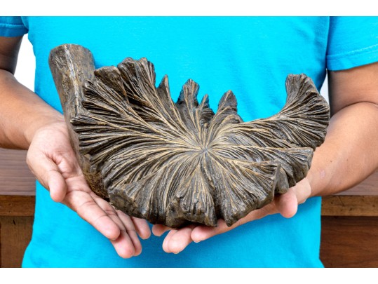 Decorative Naturalistic Volcano Flower Sculpture