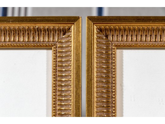 Pair Of Beautiful Botanical Peony Prints After Pierre Joseph Redoute