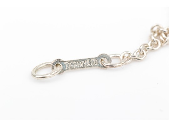 Tiffany & Co. Sterling Silver Elsa Peretti Large Bean Motif Necklace