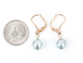 14k Yellow Gold Chic Grey Cultured Freshwater Pearl Drop Earrings