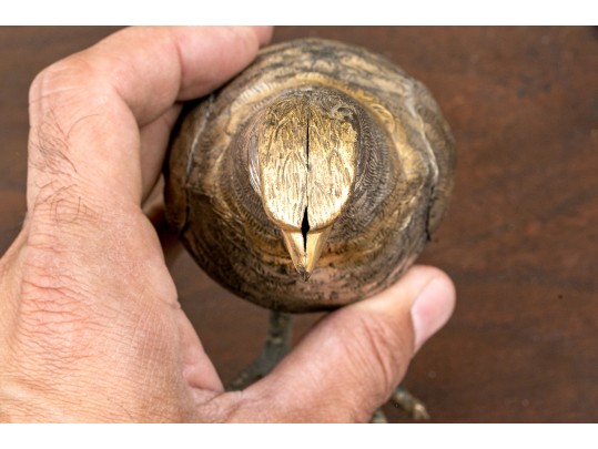 Two Sterling Silver Naturalistic Birds, 15.4 OZT