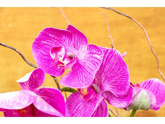 Faux Potted Purple Orchid