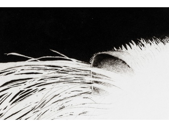 Beth Van Hoesen (American, 1926-2010) Ltd. Ed. Lithograph, 