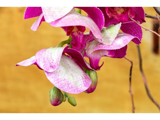 Faux Potted Purple Orchid
