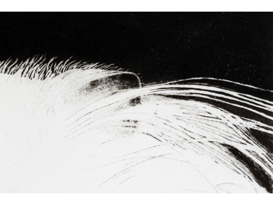 Beth Van Hoesen (American, 1926-2010) Ltd. Ed. Lithograph, 