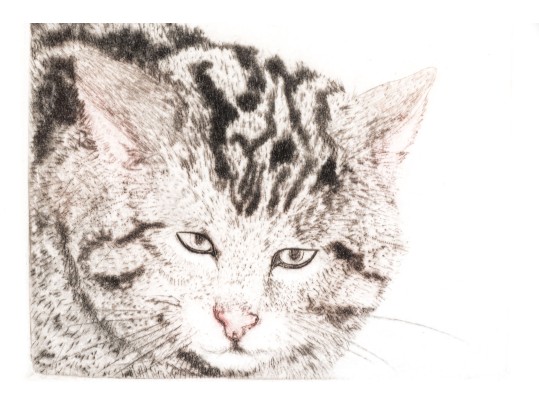 Beth Van Hoesen (American, 1926-2010) Ltd. Ed. Lithograph, 