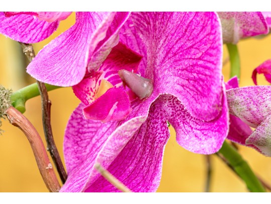 Faux Potted Purple Orchid