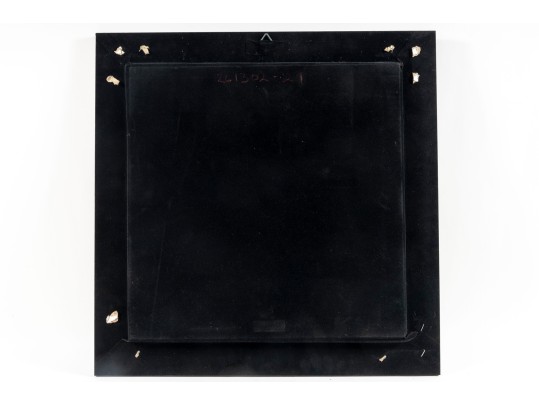 Trio Of Framed Sea Shell Shadowbox Displays