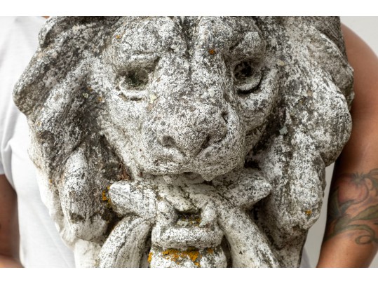 Large Decorative Concrete Lion Head 