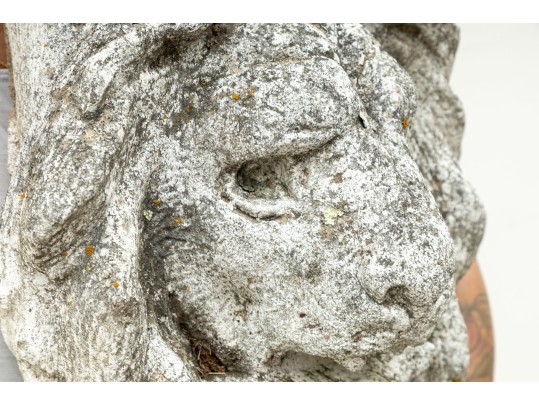 Large Decorative Concrete Lion Head 