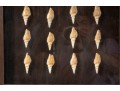 Trio Of Framed Sea Shell Shadowbox Displays