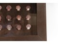 Trio Of Framed Sea Shell Shadowbox Displays