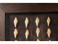 Trio Of Framed Sea Shell Shadowbox Displays