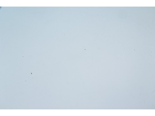 Chic Office Set Including Pottery Barn Teen