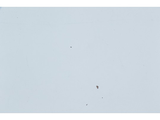 Chic Office Set Including Pottery Barn Teen