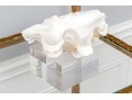 Decorative Clam Shell On Acrylic Base