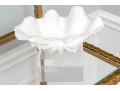 Decorative Clam Shell On Acrylic Base