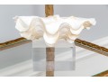 Decorative Clam Shell On Acrylic Base