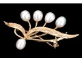 14k Yellow Gold Striking Cultured Freshwater Pearl Leaf And Spray Motif Brooch