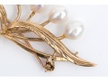 14k Yellow Gold Striking Cultured Freshwater Pearl Leaf And Spray Motif Brooch