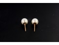 14k Yellow Gold Cultured Pearl Stud Earrings