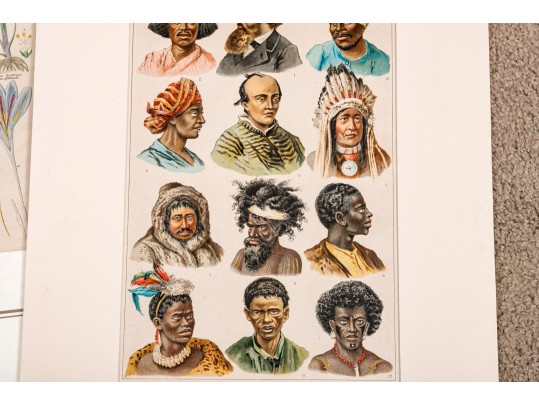 Large Assortment Of Vintage And Antique Prints