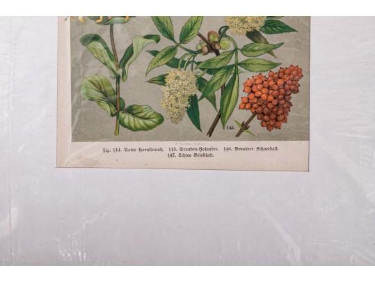 Large Assortment Of Vintage And Antique Prints