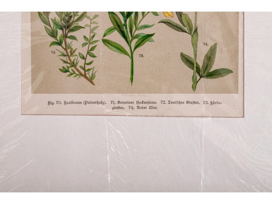 Large Assortment Of Vintage And Antique Prints