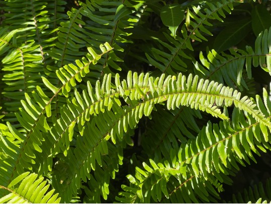 Pair Of Large Vintage Metallic Garden Urns