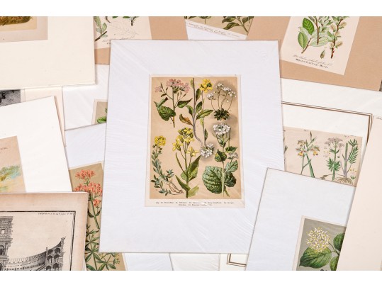 Large Assortment Of Vintage And Antique Prints