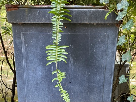 Pair Of Large Vintage Metallic Garden Urns