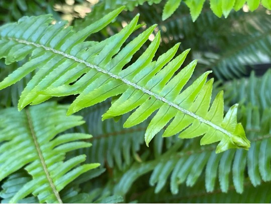Pair Of Large Vintage Metallic Garden Urns