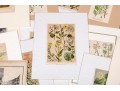 Large Assortment Of Vintage And Antique Prints