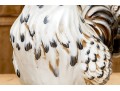 Two Italian Majolica Style Ceramic Rooster Figures