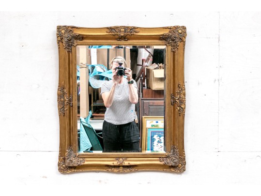 Traditional Double Moulded Bevled Mirror