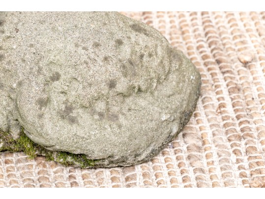 Vintage Lying Cement Cat