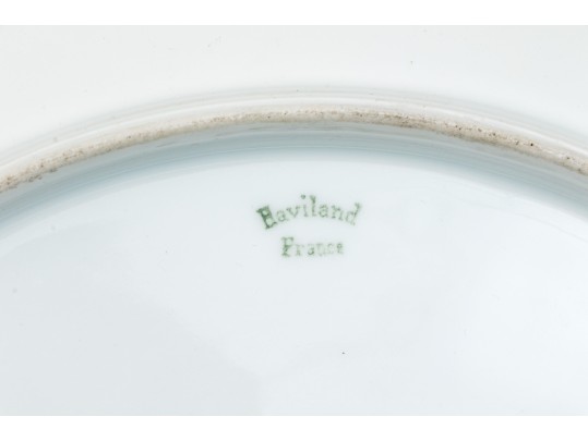 A Beautiful Hand Painted Haviland France Platter