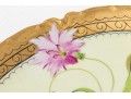 A Beautiful Hand Painted Haviland France Platter