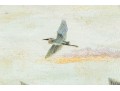 Attributed To: CHARLES Wysocki, Oil On Canvas, Geese In Flight
