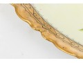 A Beautiful Hand Painted Haviland France Platter