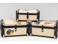 Trio Of Retro Global Views Travel/Storage Trunks