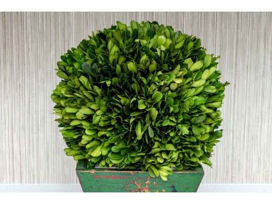 Lot Of Elegant Worldly Decor