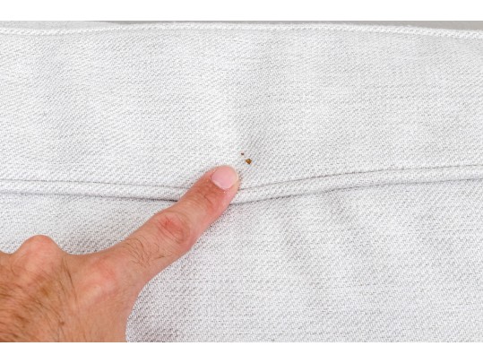 Pair Of Mitchell Gold For Pottery Barn Slipcovered Club Chairs 