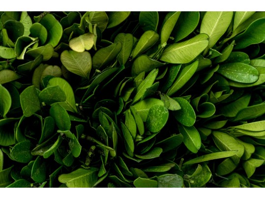 Lot Of Elegant Worldly Decor